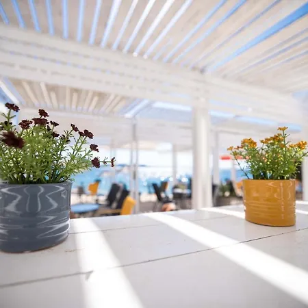 Buqez Eco - Beach 12 - Seaview Villa